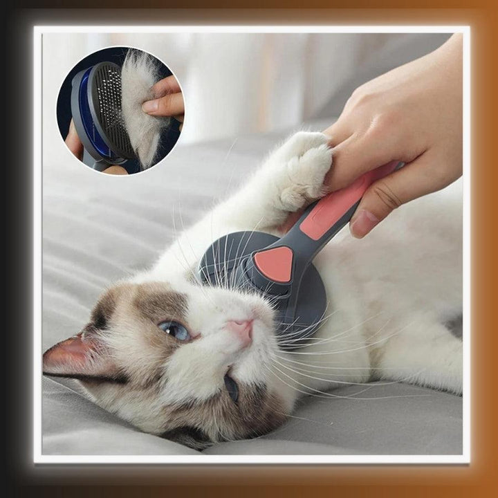Smart Pet Grooming Comb Hair Removes - Homefy